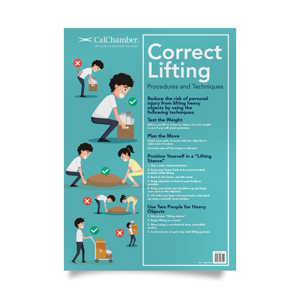 Correct Lifting Procedures and Techniques Poster