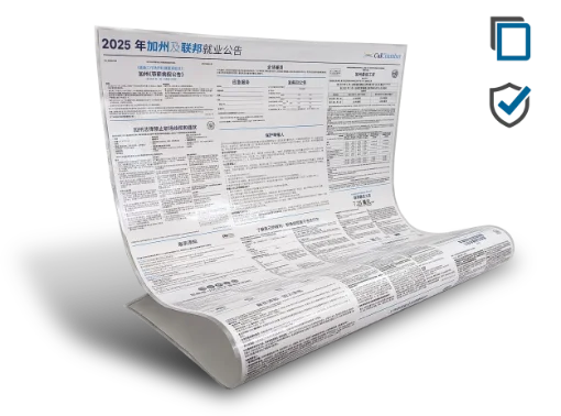 Picture of CA and Federal Labor Law Poster (CN) Laminate Poster Protect