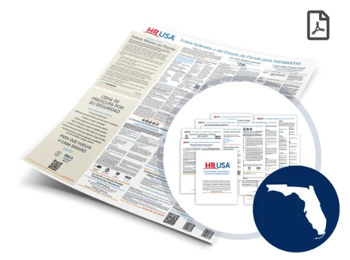 Picture of FL & Federal Labor Law Digital & Paper Poster (SP)