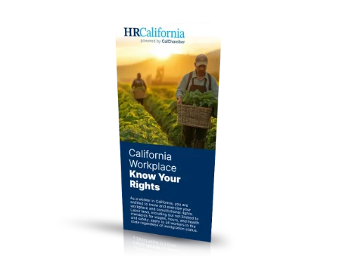 Picture of Know Your Rights Pamphlet (ENG)